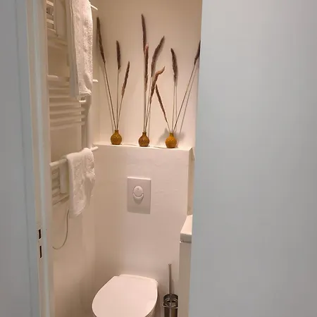 Rubis Quartier Du Chateau *