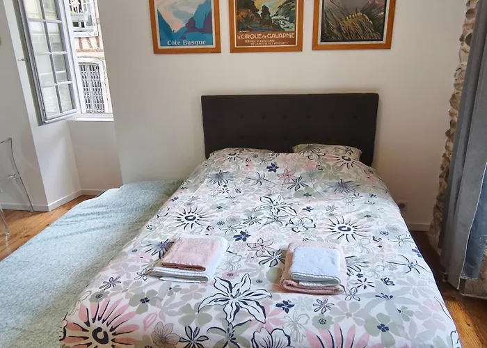 Appartement Rubis Quartier Du Chateau